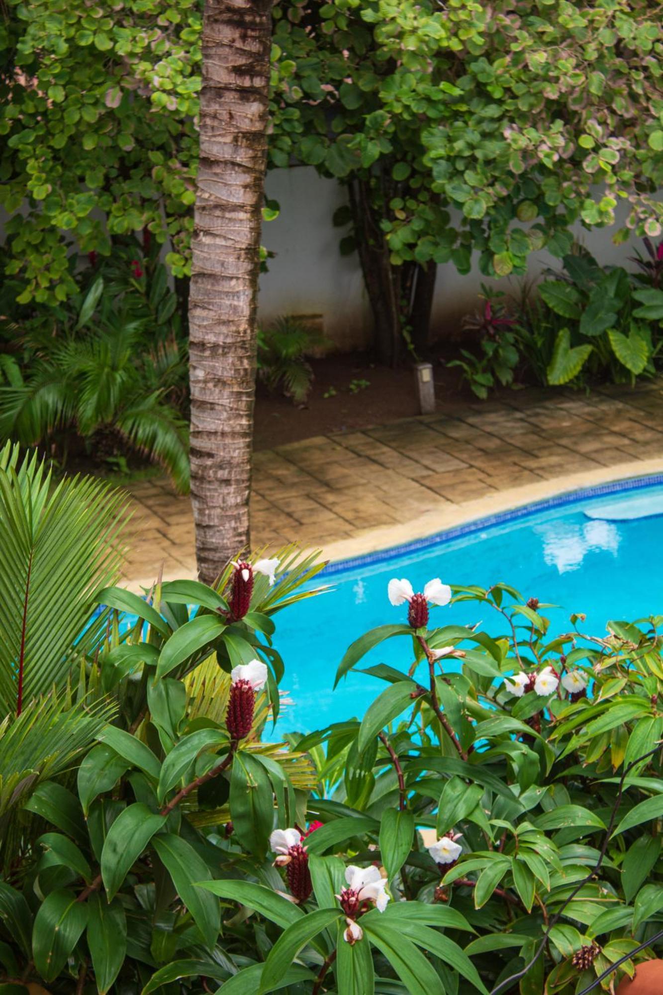 Hotel Playa Cambutal Exterior photo